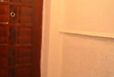 Apartament cu 2 camere semidecomandat în Cezar Petrescu - 1