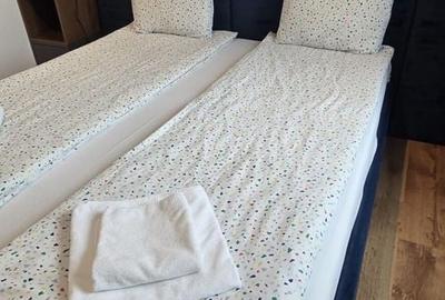 Apartament cu 2 camere decomandat, mobilat în Iosefin - 2