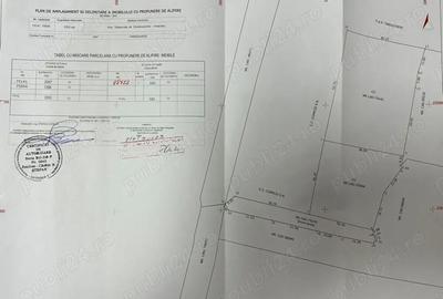 Teren de 3303 mp, în Centură - 2