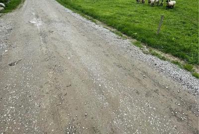 Teren de 1500 mp, în Vama Buzăului - 4