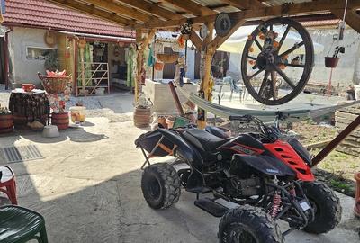 Casă cu 3 camere cu Teren 1295 Mp în Surducu Mare