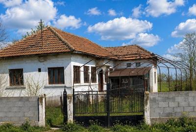 Casă cu Teren 2504 Mp în Central