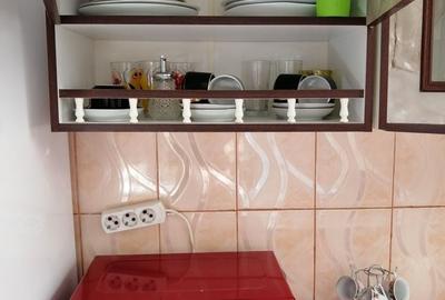 Apartament cu 2 camere semidecomandat în Podgoria - 2