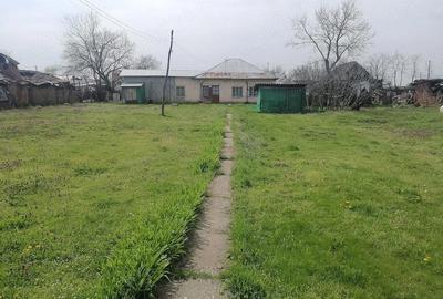 Casă cu 3 camere cu Teren 7000 Mp în Redea - 5