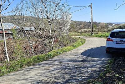 Teren de 2600 mp, în Dobrușa