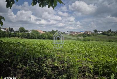 Teren de 2000 mp, în Moara