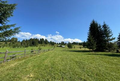Teren agricol intravilan de 22000 mp, în Plaiu Șarului - 10