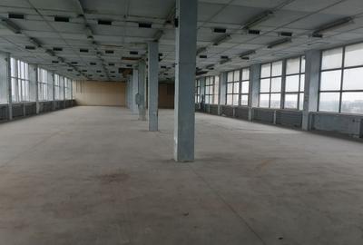 Spațiu industrial, de 700 mp, în 23 August (Cațelul) - 2