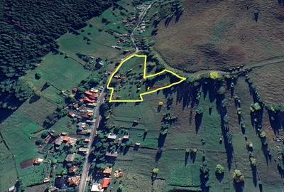 Teren de 8000 mp, în Pojorâta - 6