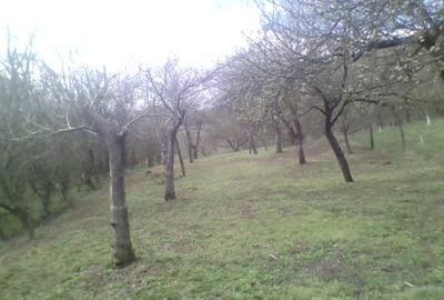 Casă individuală cu 2 camere cu Teren 2000 Mp în Izvoarele (Livezile) - 12