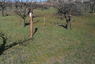 Teren de 3405 mp, în Spitalul Județean - 9