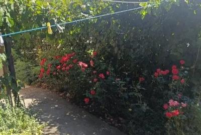 Casă cu 5 camere cu Teren 4925 Mp în Lechința