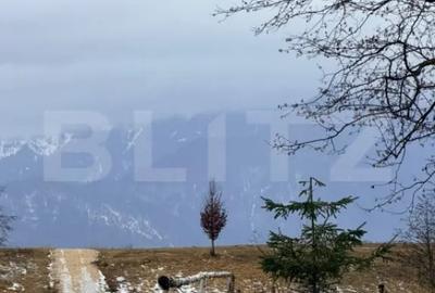 Teren de 80000 mp, în Glăjărie - 1