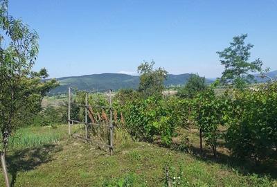 Casă cu Teren 950 Mp în Valea Nucului - 9