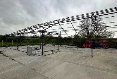 Casă cu 3 camere cu Teren 4000 Mp în Mihăești - 6