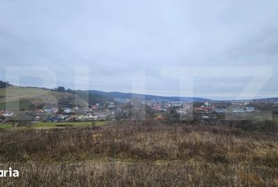 Teren de 4774 mp, în Livezeni - 3