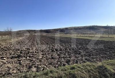 Teren de 5800 mp, în Dej - 1
