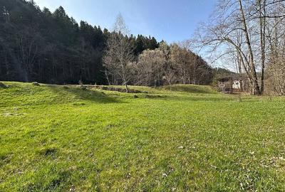 Teren de 6888 mp, în Putna - 9