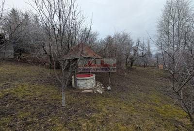 Casă individuală cu 5 camere cu Canalizare în Exterior Vest - 32