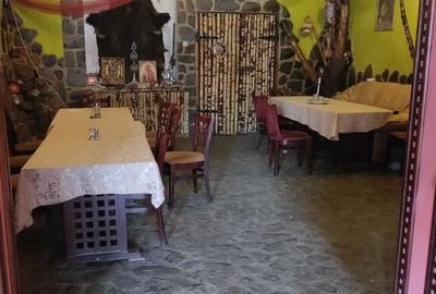 Casă cu 4 camere cu Teren 860 Mp în Coman - 4