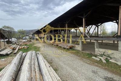 Spațiu comercial, de 3,000 mp, în Agăș - 4
