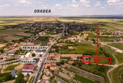 Casă cu 3 camere cu Teren 3014 Mp în Gepiu - 3