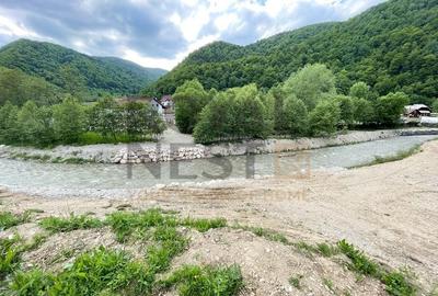 Teren Construcții intravilan de 12150 mp, în Plaiul Foii - 8