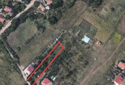 Teren de 1300 mp, în Borhanci - 1