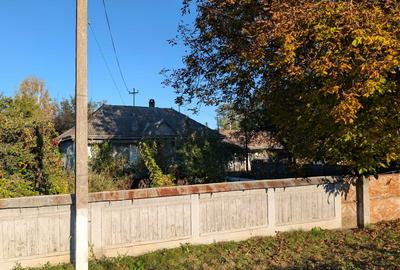 Casă cu 4 camere în Icușești - 10