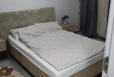 Apartament cu 2 camere decomandat în Fundeni - 5