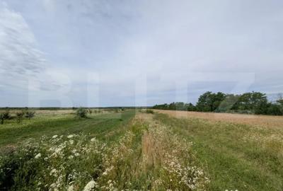 Teren în Dragomirești