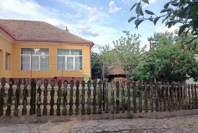 Casă cu 5 camere cu Teren 4057 Mp în Central