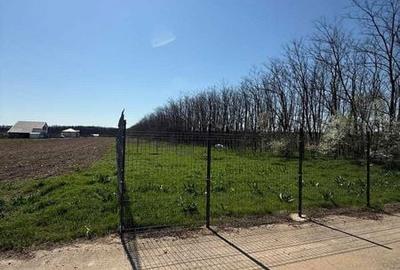 Teren de 800 mp, în Gruiu - 6