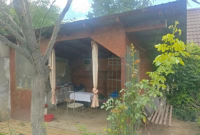 Casă cu Teren 1125 Mp în Micălaca - 5