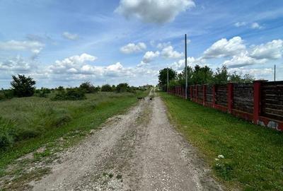 Teren de 575 mp, în Letca Nouă - 2