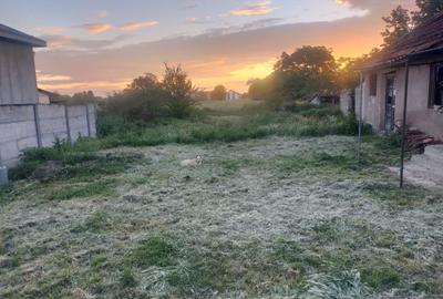 Casă cu 2 camere în Botiz - 1