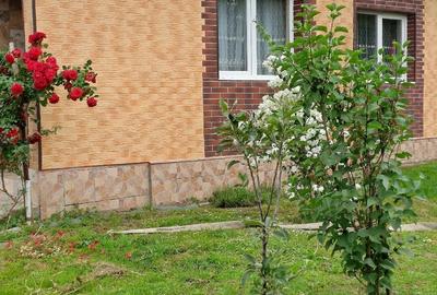 Casă cu Teren 1700 Mp în Șerbănești - 2