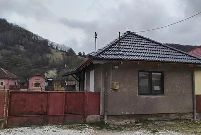 Casă cu 2 camere cu Teren 823 Mp în Rusca - 8