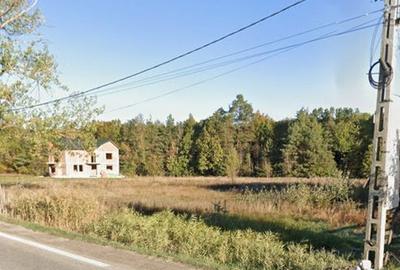 Teren de 5500 mp, în Cotmeana - 3