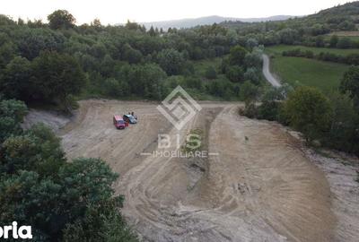 Teren de 12050 mp, în Josenii Bârgăului - 2