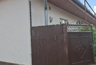 Casă cu 3 camere cu Teren 950 Mp în Cruceni - 5