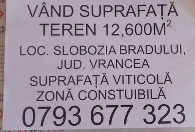 Teren de 12600 mp, în Coroteni