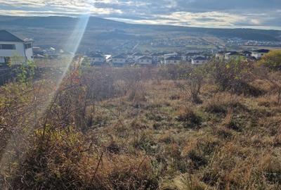 Teren Construcții intravilan de 5500 mp, în Chinteni - 1