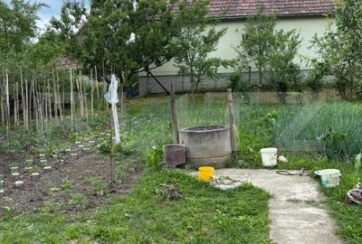 Casă cu 3 camere în Cornești - 1