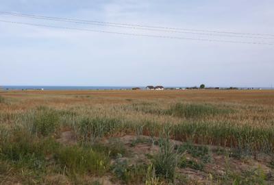 Teren de 500 mp, în Corbu - 1