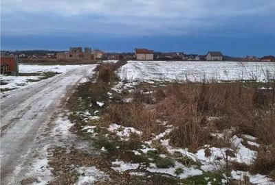 Teren de 531 mp, în Sânmartin - 3