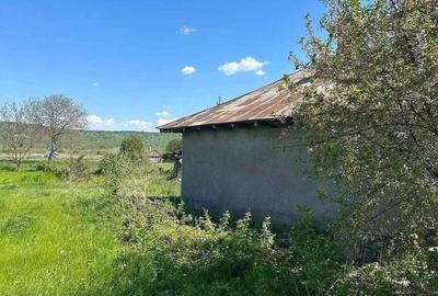 Casă cu 2 camere în Central