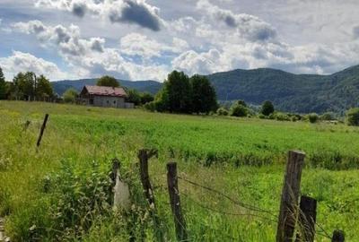 Teren de 3382 mp, în Viișoara - 5