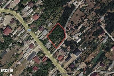 Teren de 1509 mp, în Potcoava - 2