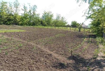 Teren de 2580 mp, în Potângeni - 4